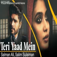 Teri Yaad Mein - Salman Ali (2024)