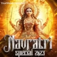 Navratri Special CD Album 