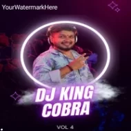 DJ KING COBRA VOL-4 -2024 Album