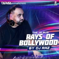 RAYS OF BOLLYWOOD VOL.1 - DJ RAZ