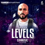 LEVELS VOL.1 - DJ H KUDOS (ALBUM)