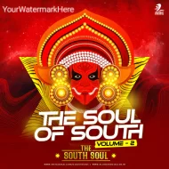 THE SOUL OF SOUTH VOL.2 - THE SOUTH SOUL (ALBUM)