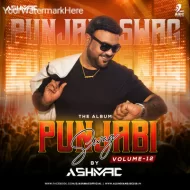 PUNJABI SWAG VOL. 12 - DJ ASHMAC (ALBUM)