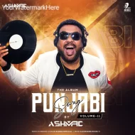 PUNJABI SWAG VOL.11 - DJ ASHMAC