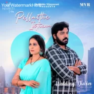 Pellaithe Inthena - Jayasree Pallem (2024)