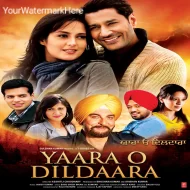 Yaara O Dildaara (2011)