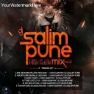 DJ SALIM PUNE HIGH GAIN VOL 2 