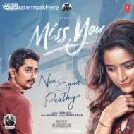 Nee Enna Paathiye - Siddharth (2024)