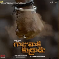 Gajuwaka Kurradu - Hemanth (2024)