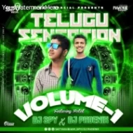 TELUGU VIBES VOL.01 (2024) DJ SPY BBSR X DJ PHONEIX BBSR