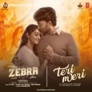 Teri Meri (Tamil) - Aira Udupi, Santhosh Venky (2024)