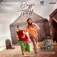 Bujji Thalli - Javed Ali (2024)