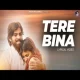 Tera Bina